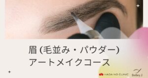 眉アートメイクコース（毛並み・パウダー）